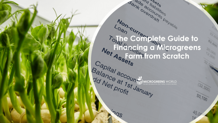 The Complete Guide to Financing a Microgreens Business from Scratch