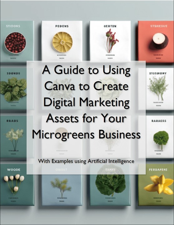 Using Canva to Create Digital Assets - Cover