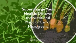 Carrot Microgreens Nutrition
