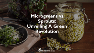 Microgreens vs Sprouts