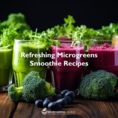 Refreshing Microgreens Smoothie Recipes
