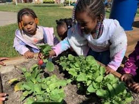 Children learning gardening outdoors.