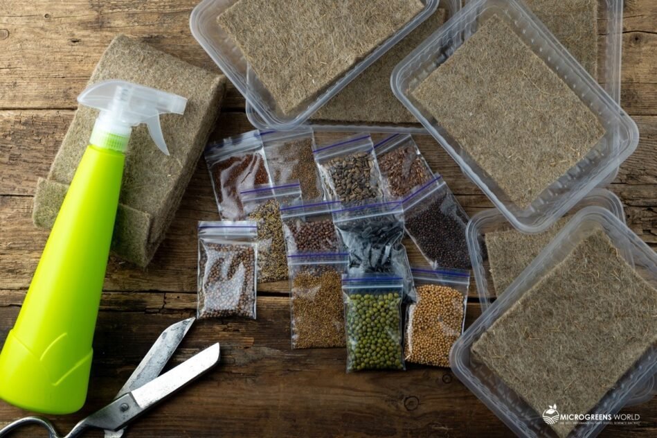 Microgreens growing kit on wooden surface.
