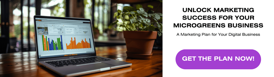 Digital Marketing Plan