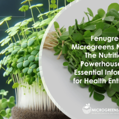 Fenugreek Microgreens Nutrition
