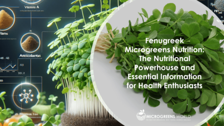 Fenugreek Microgreens Nutrition