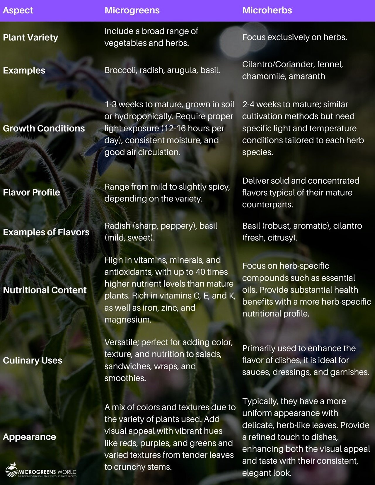 Table comparing the 6 aspects that differentiate microherbs vs microgreens on a herb garden background
