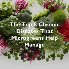 An array of microgreens arranged in a circle on a white background