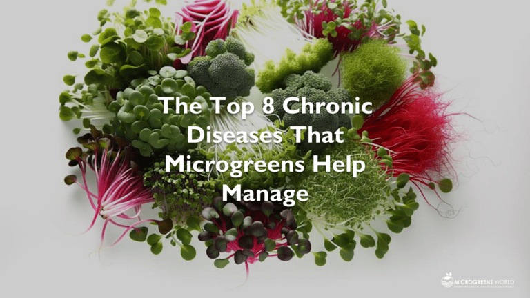 An array of microgreens arranged in a circle on a white background