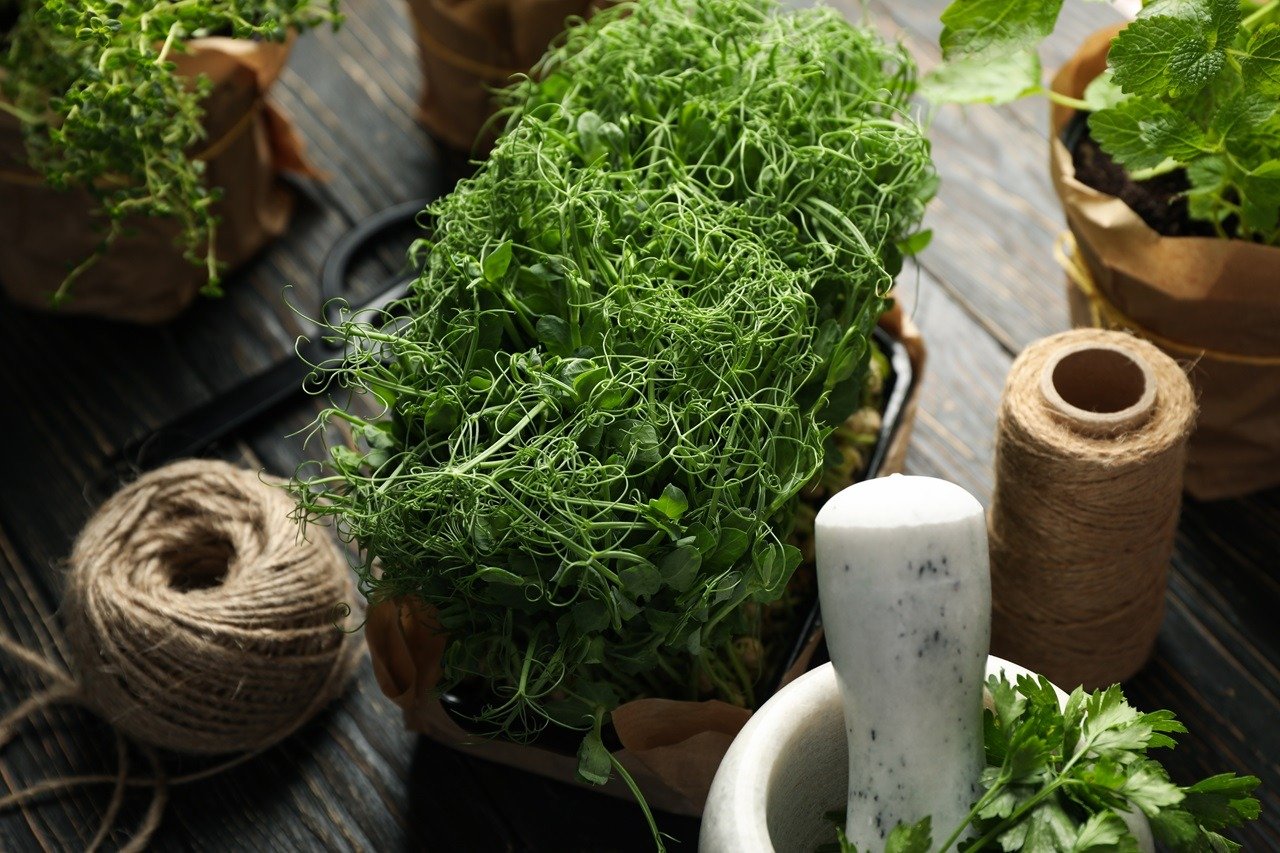 Different microherbs, jute twine, scissors and mortar on wooden table