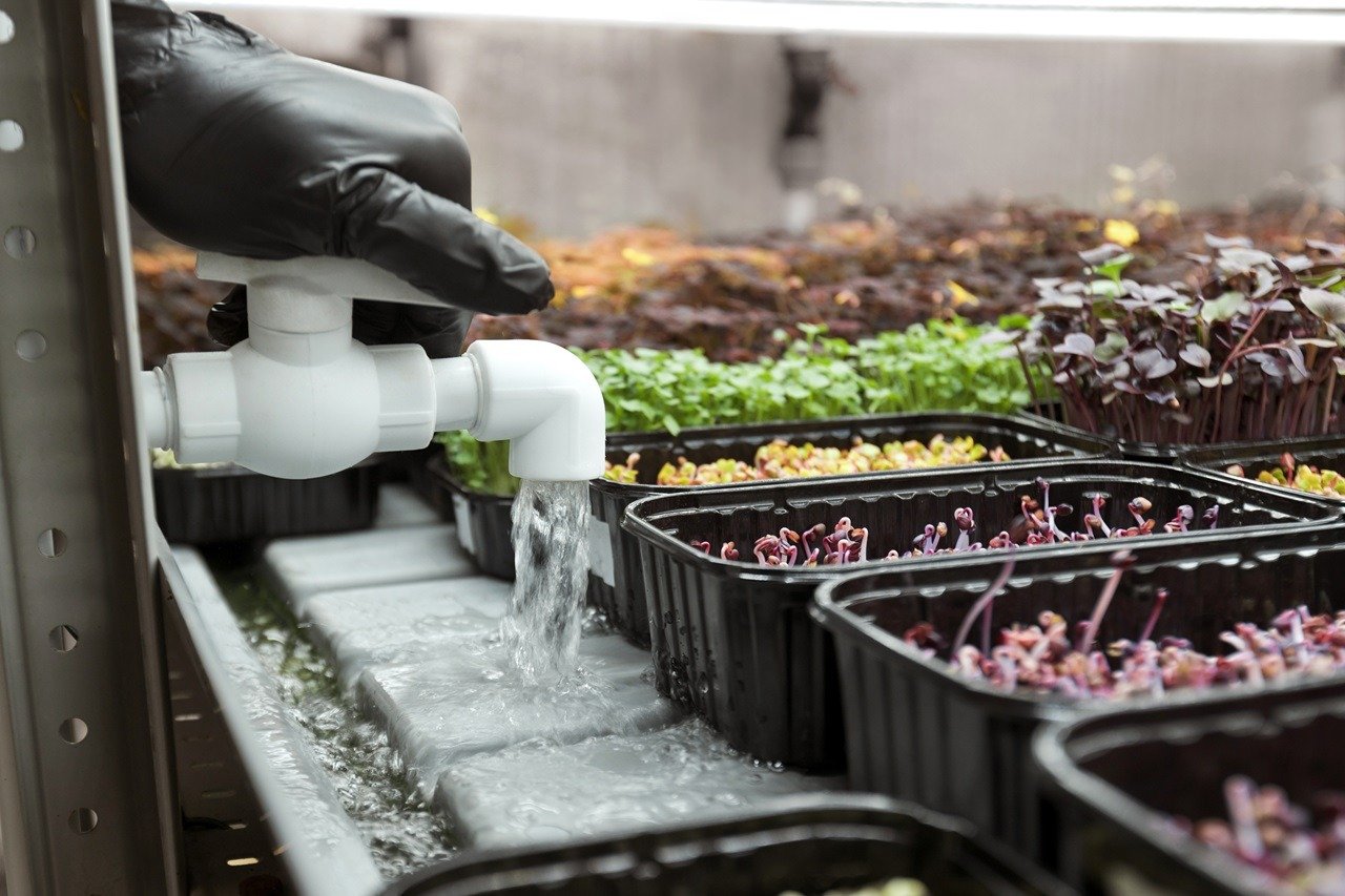 irrigation-system-in-a-microgreens-greenhouse