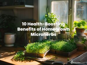 A vibrant kitchen windowsill filled with lush, green microherbs in small trays, bathed in sunlight, with a wooden countertop displaying freshly harvested microgreens, a pair of scissors, and a glass of water.