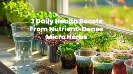 a variety of colorful micro herbs like kale, arugula, and radish sprouts in small pots on a windowsill. Include a glass of water and a sprinkle of seeds.
