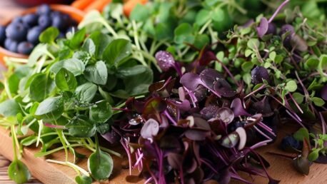 a vibrant, close-up shot of a wooden cutting board filled with an array of colorful micro herbs.