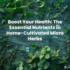 a vibrant, close-up image of various microherbs, showcasing their tiny, delicate leaves and rich green hues, arranged beautifully on a rustic wooden table with soft, natural lighting to highlight their freshness and texture.