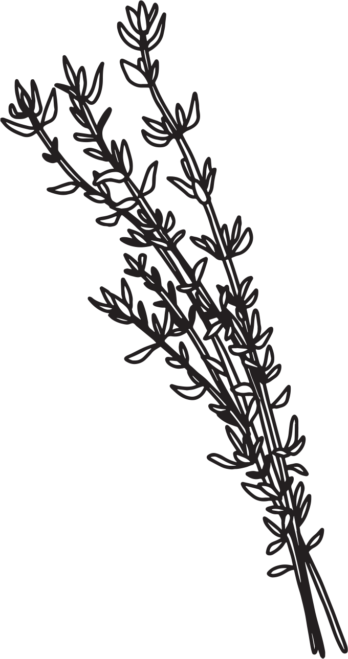 Hand etching of a thyme sprig