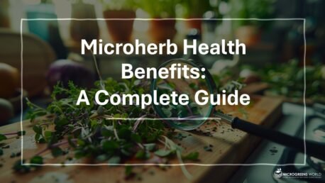 An assortment of vibrant microherbs on a cutting board, a magnifying glass inspecting a sprig, and a backdrop of a bright, health-conscious kitchen in 35 mm film style