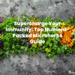 a vibrant image showcasing various micro herbs like turmeric, echinacea, parsley, thyme, ginger, astragalus, and garlic. Arrange them artfully, highlighting their colors and textures, with a subtle background hinting at their health benefits.