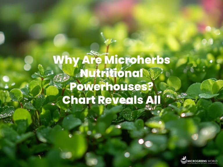 A vibrant close-up of diverse, colorful microherbs, glistening with dew, in a lush, green garden setting, highlighting their freshness and vitality against a soft, morning light background.