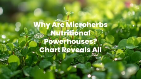 A vibrant close-up of diverse, colorful microherbs, glistening with dew, in a lush, green garden setting, highlighting their freshness and vitality against a soft, morning light background.