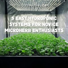 A compact hydroponic setup with a white LED grow light
