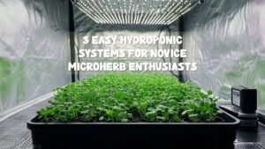 A compact hydroponic setup with a white LED grow light