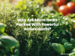 A vibrant array of fresh herbs like rosemary, basil, and thyme, glistening under sunlight, with a backdrop of colorful vegetables and fruits, all emitting a radiant, healthy glow.