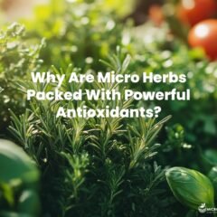 A vibrant array of fresh herbs like rosemary, basil, and thyme, glistening under sunlight, with a backdrop of colorful vegetables and fruits, all emitting a radiant, healthy glow.