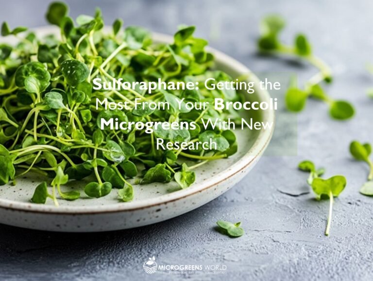Sulforaphane and Microgreens