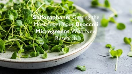 Sulforaphane and Microgreens