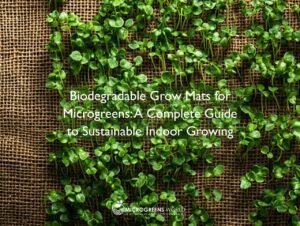 Overhead shot of vibrant microgreens growing on a natural brown hemp grow mat, showcasing multiple rows of emerald-green shoots against the textured, biodegradable surface.