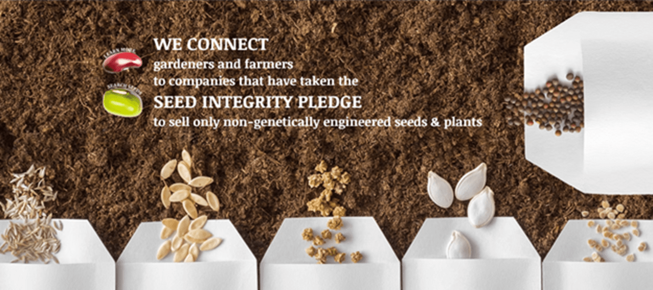Why Seed Quality Matters