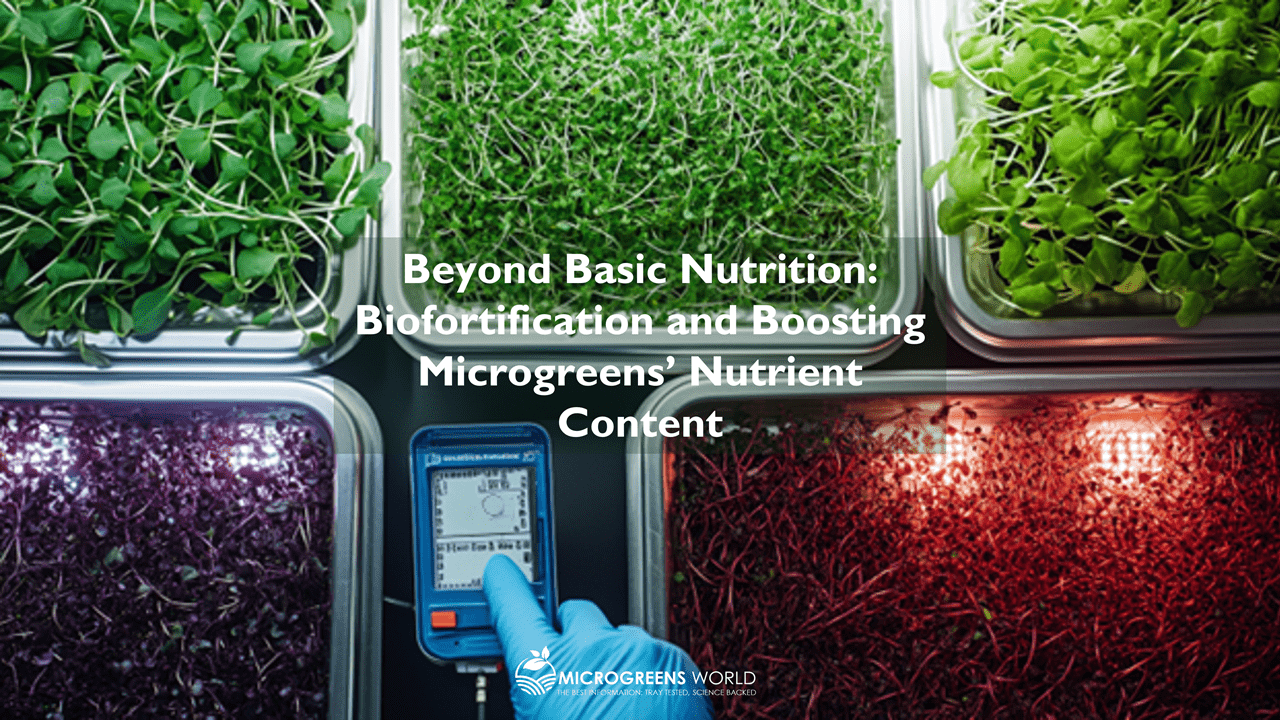 Beyond Basic Nutrition: Biofortification and Boosting Microgreens’ Nutrient Content