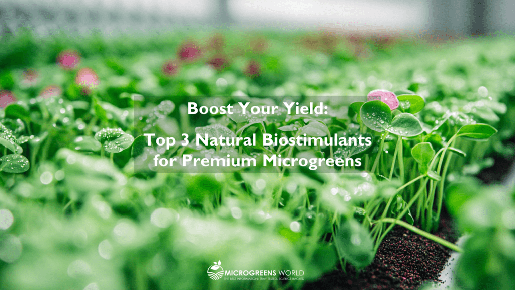 The Science of Better Growth-Latest Breakthroughs in Microgreens Biostimulants