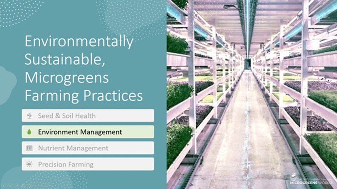 Environment Management
