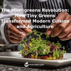 A chef garnishing a meal with microgreens