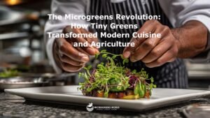 A chef garnishing a meal with microgreens