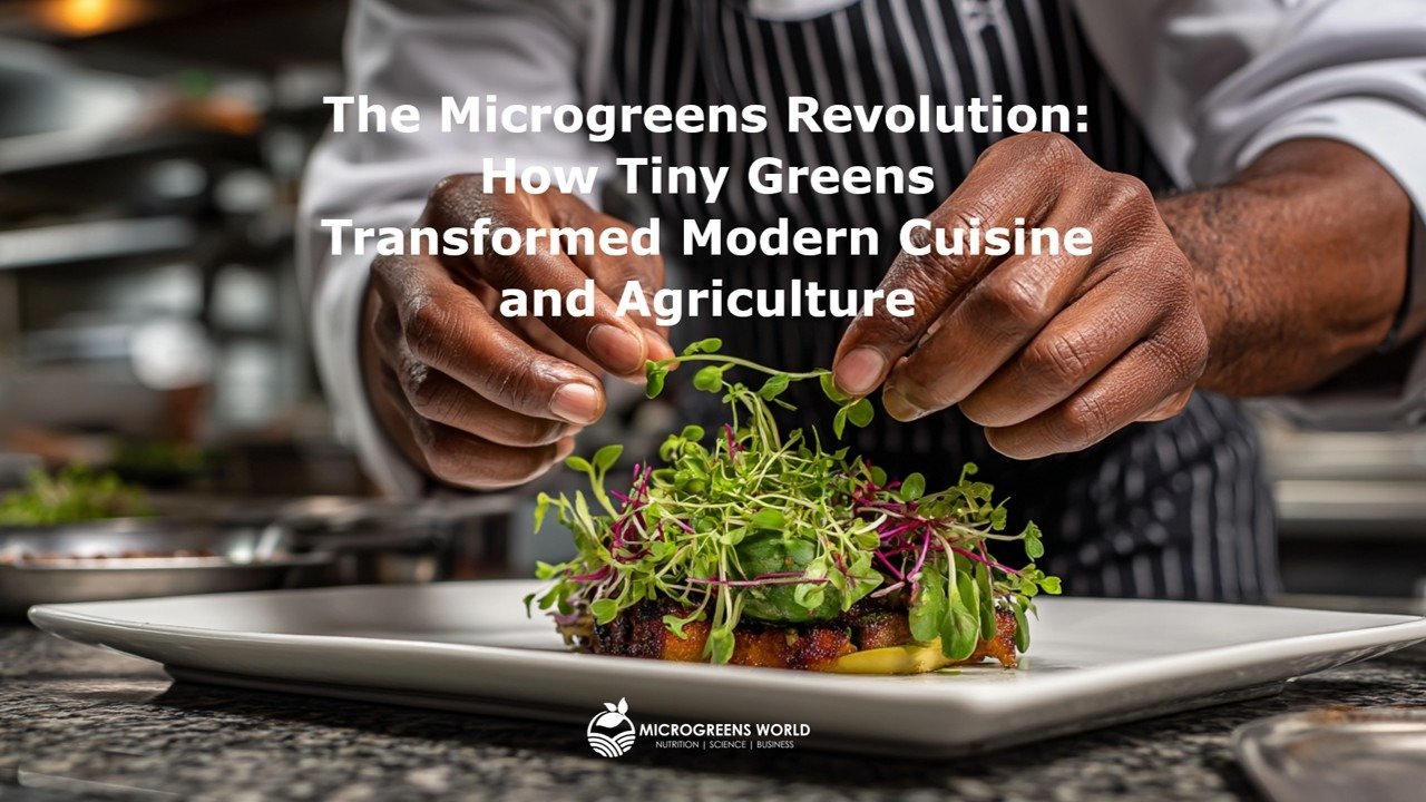 A chef garnishing a meal with microgreens