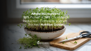 Alfalfa Microgreens in a ceramic white bowl on a kitchen counter