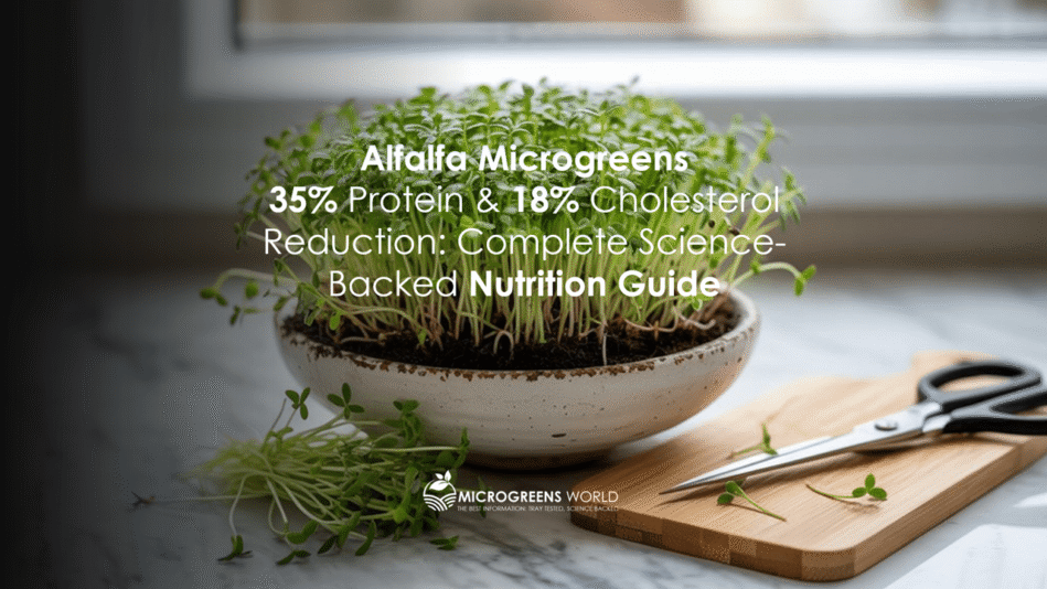 Alfalfa Microgreens in a ceramic white bowl on a kitchen counter