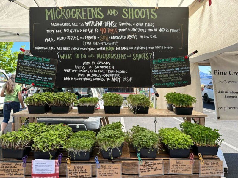 microgreens at market