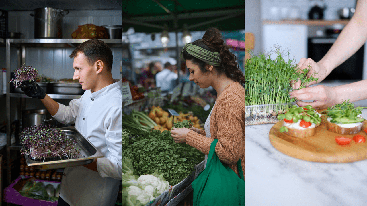 Each panel shows a distinct market segment with different needs, price points, and purchasing behaviors. That's exactly what someone starting a microgreens business needs to understand.