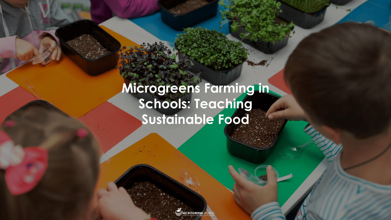 Elementary school children sitting around a table and tending to their microgreens