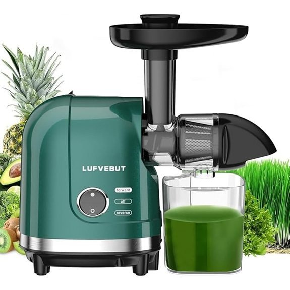 Slow Masticating Cold Press Vegetable & Fruit Juicer