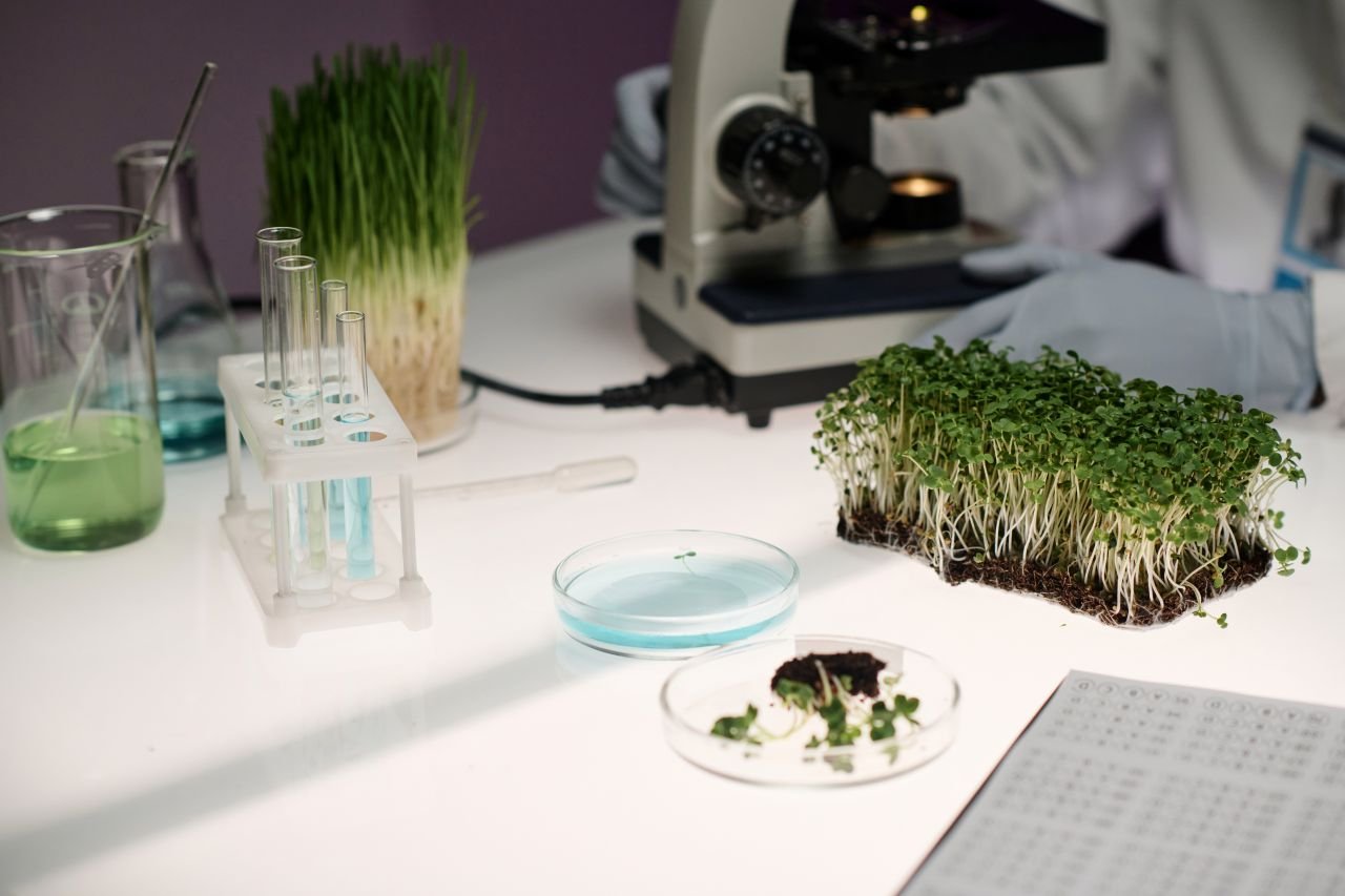 biologist-workplace-in-laboratory Desk in laboratory with labware and herbs displayed on it, scientist working on background
