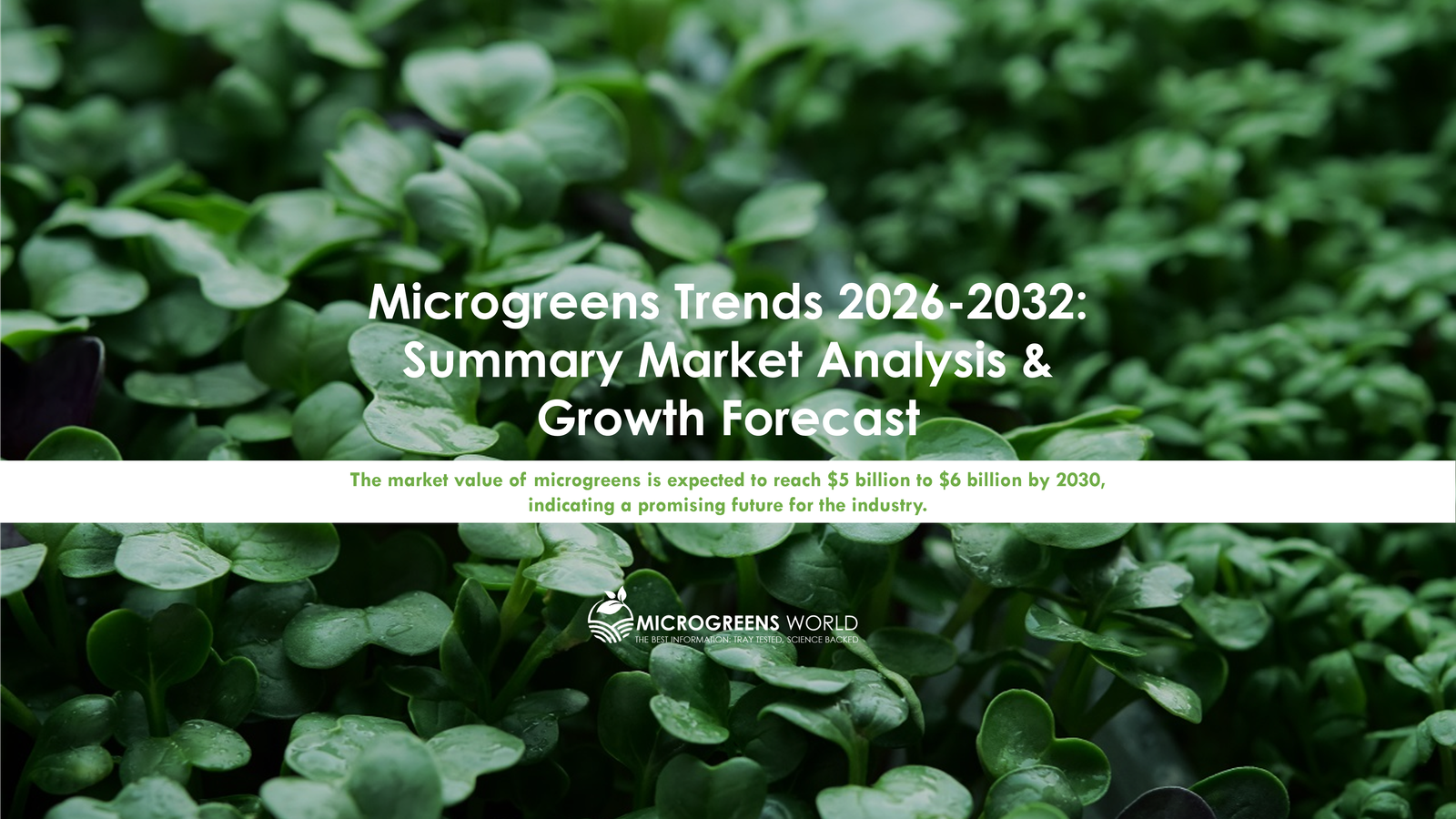 Microgreens market growth report cover with leafy background.