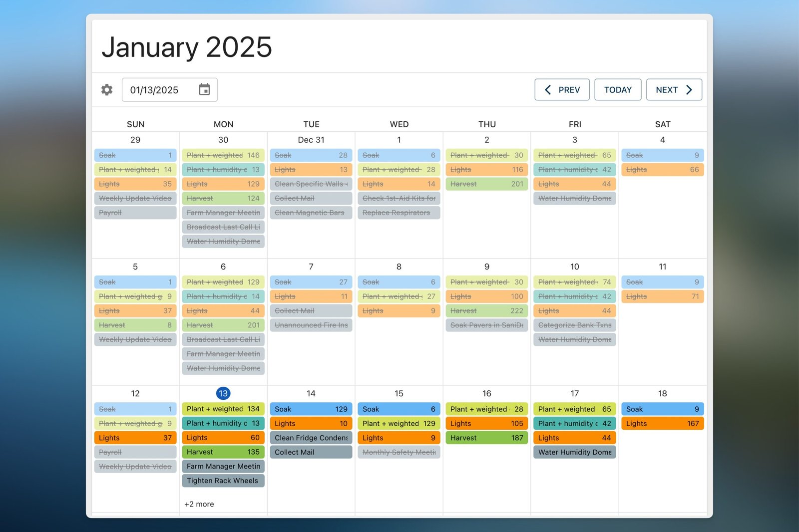 Microgreen Manager daily task dashboard January 2025 calendar with scheduled tasks