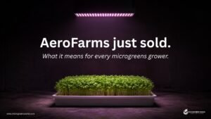 Microgreens growing tray under purple LED grow lights representing the AeroFarms acquisition and its impact on the microgreens industry