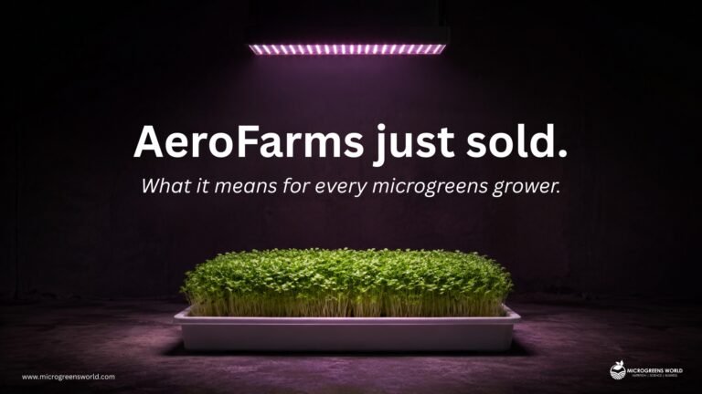 Microgreens growing tray under purple LED grow lights representing the AeroFarms acquisition and its impact on the microgreens industry