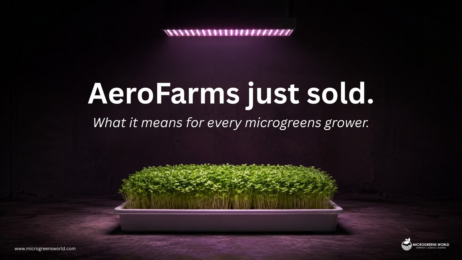 Microgreens growing tray under purple LED grow lights representing the AeroFarms acquisition and its impact on the microgreens industry
